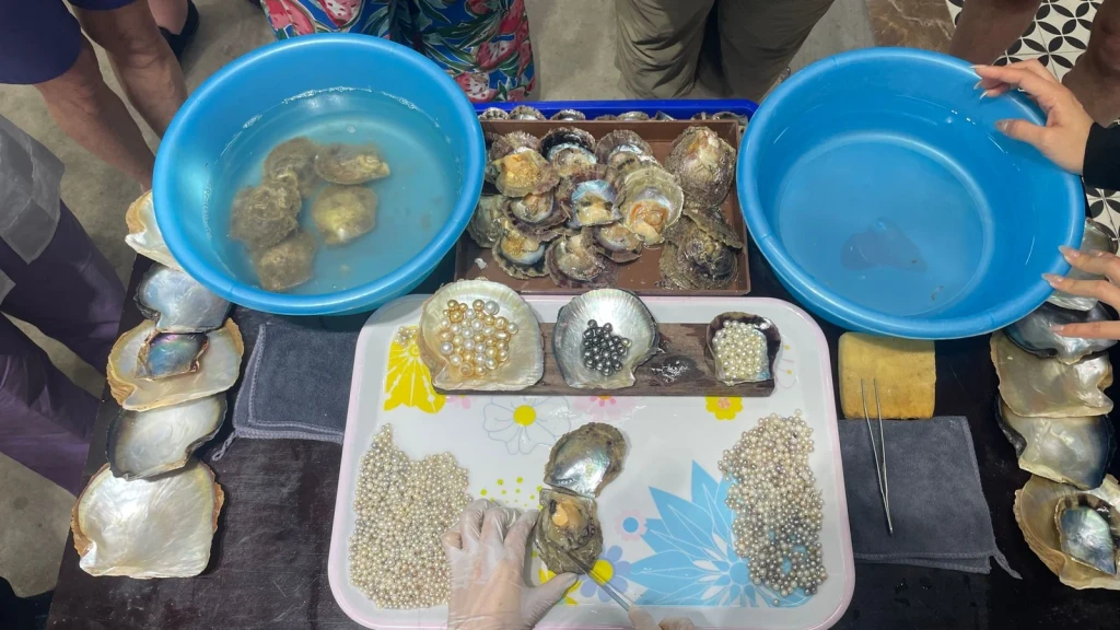 The Harvest, from Pearls: The Gem an Animal Makes