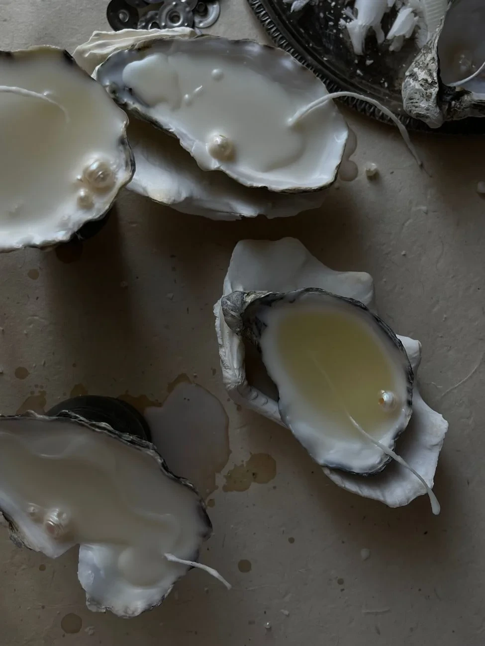 Opened Oysters, from Pearls: The Gem an Animal Makes