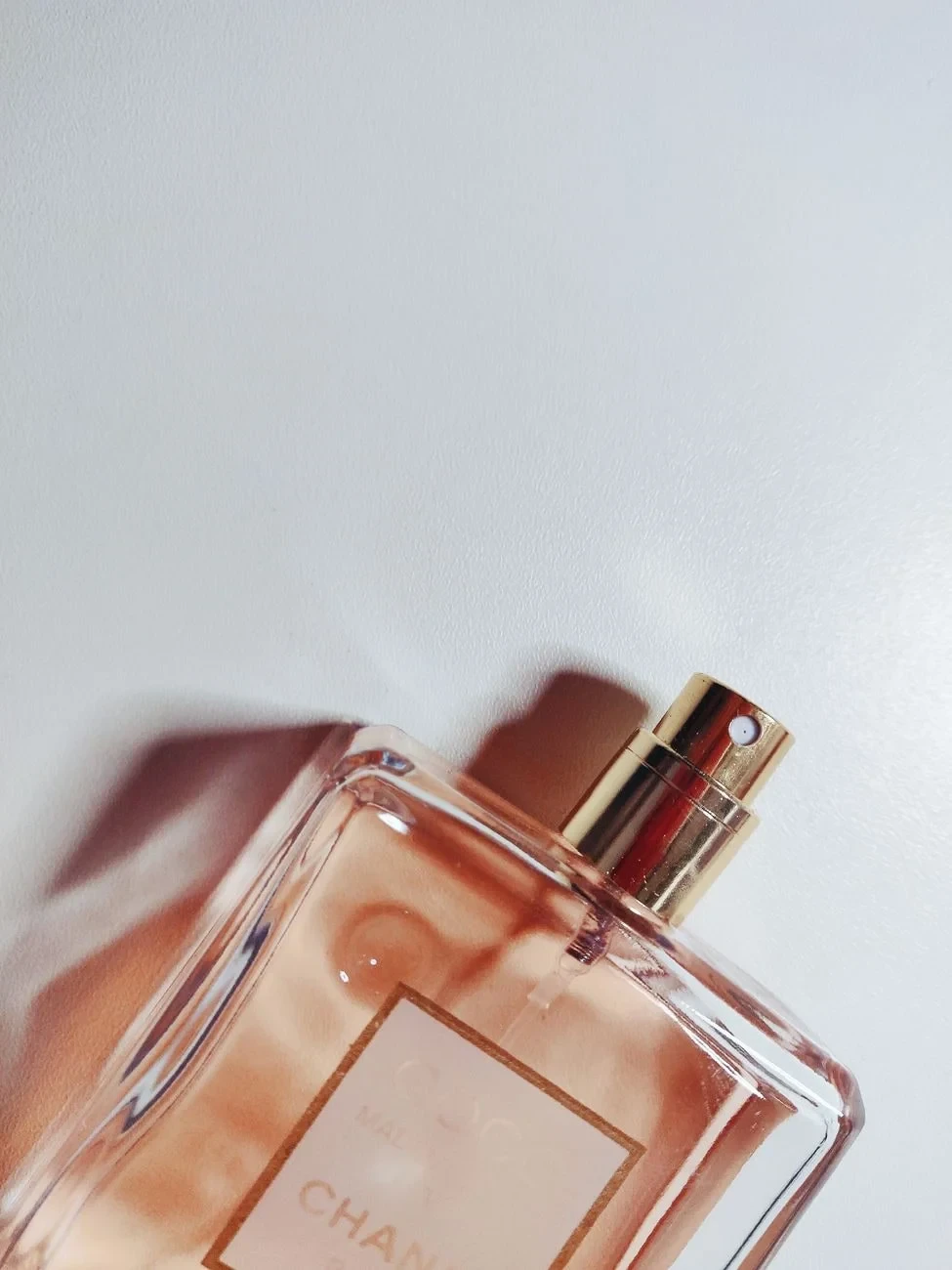 Shadow Study, from Perfume: An Argument in a Bottle
