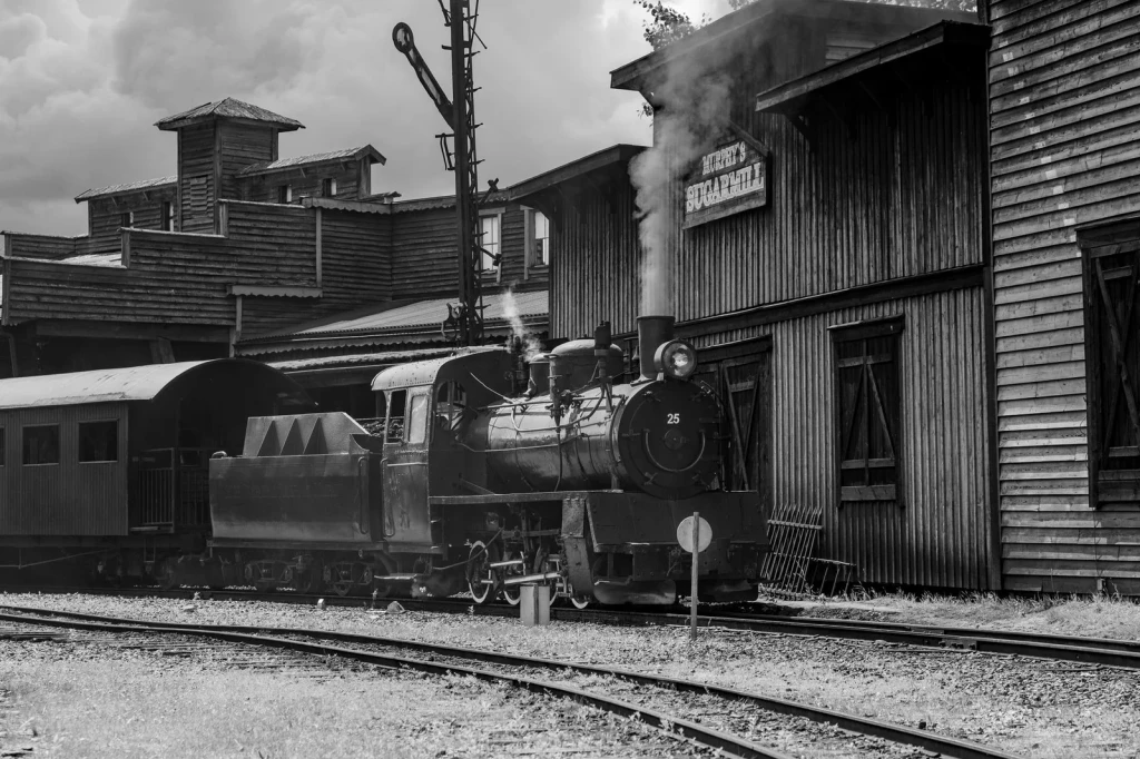 Wooden Platform, from Railways: The Iron Roads That Shrank the World