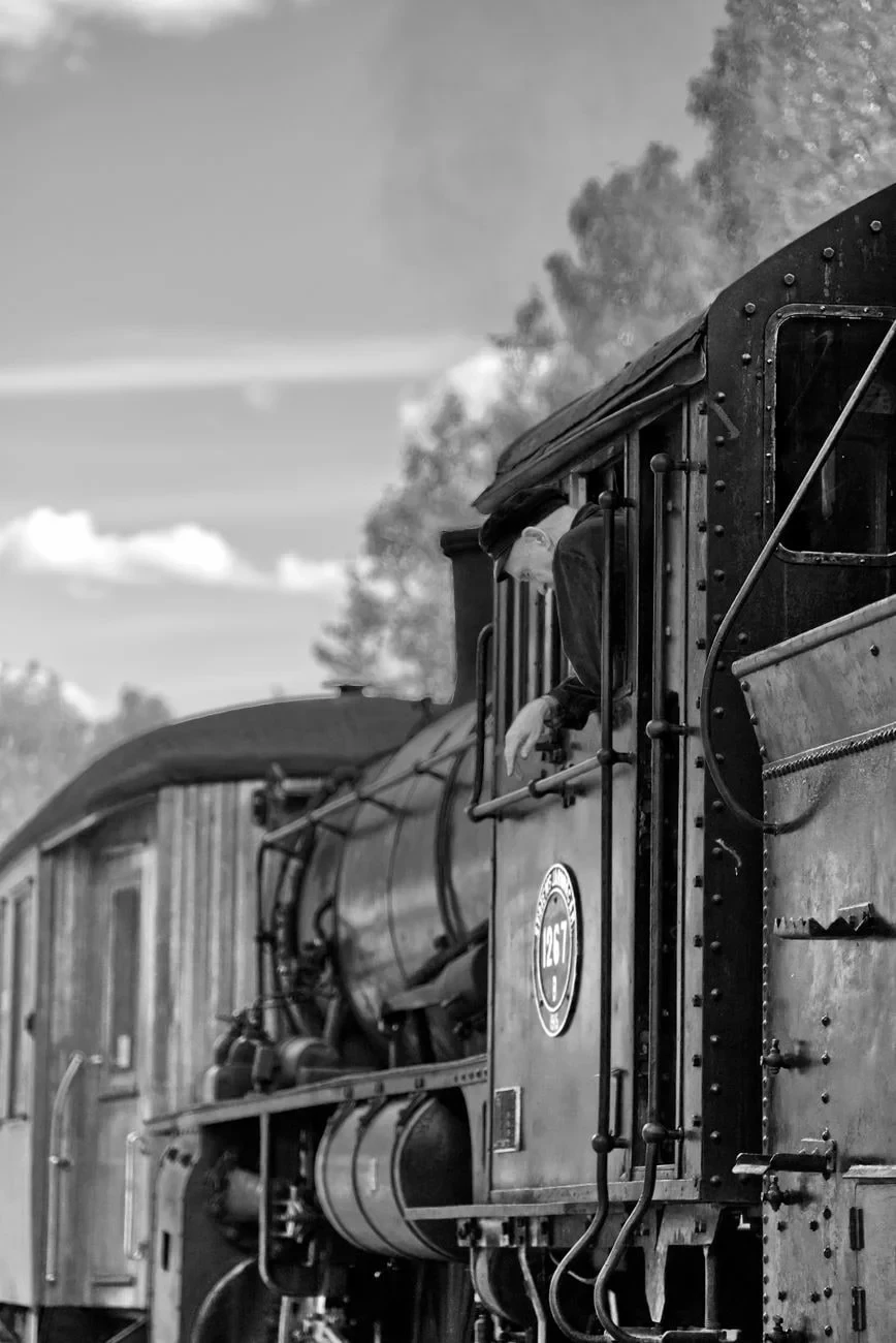 Smoke and Steam, from Railways: The Iron Roads That Shrank the World