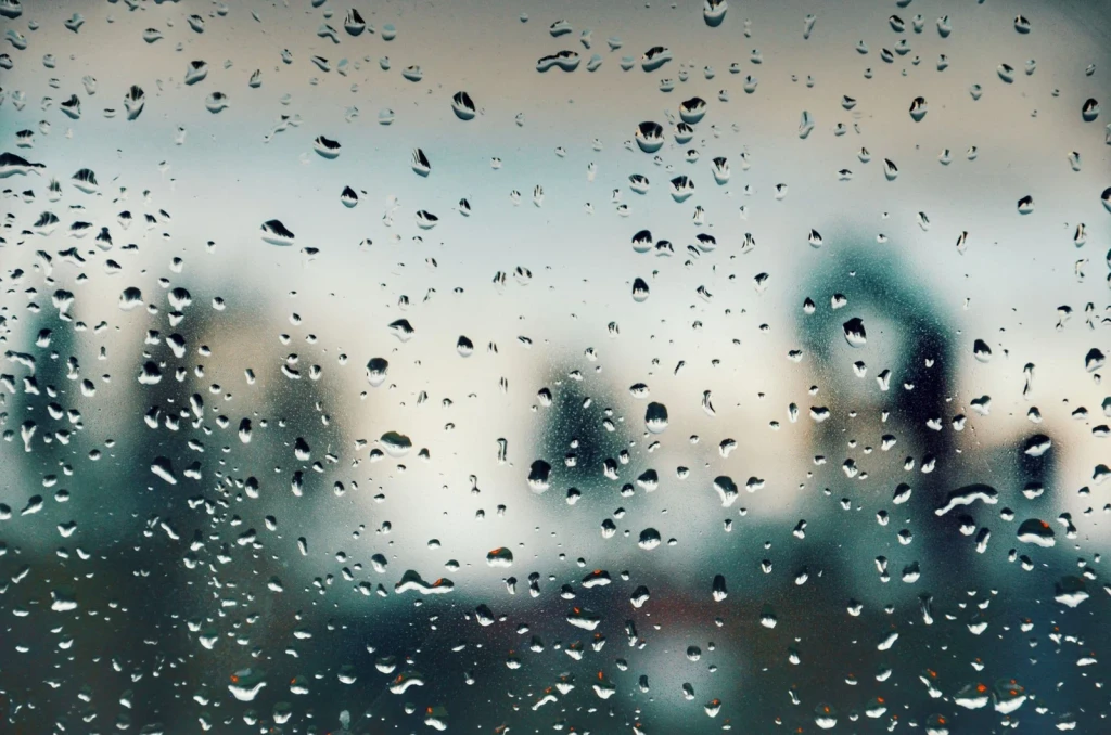 Window Study, from Follow the Rain