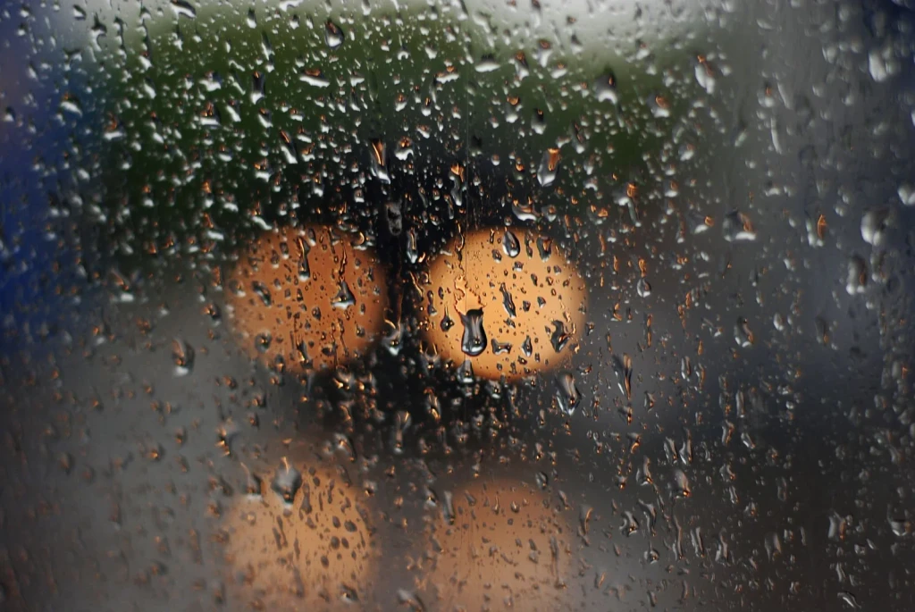 City Rain at Night, from Rain