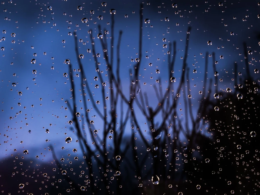 Twilight Through Rain, from Rain
