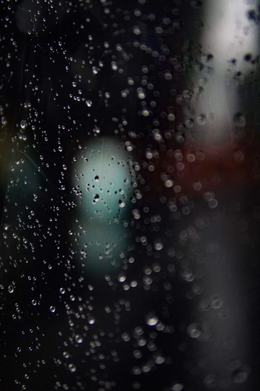 Blurred After Rain, from Rain