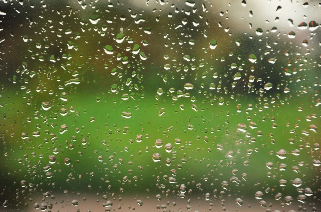 Natural Pattern, from Rain