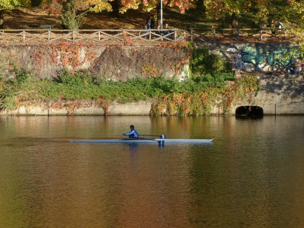 Autumn Solitude, from Rowing: The Oldest Way to Move on Water