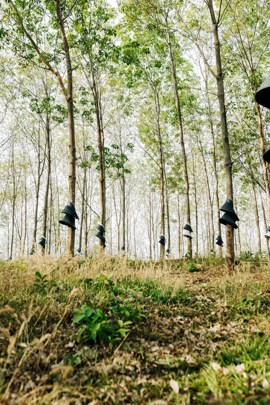 Plantation Landscape, from Rubber Stretches Everything