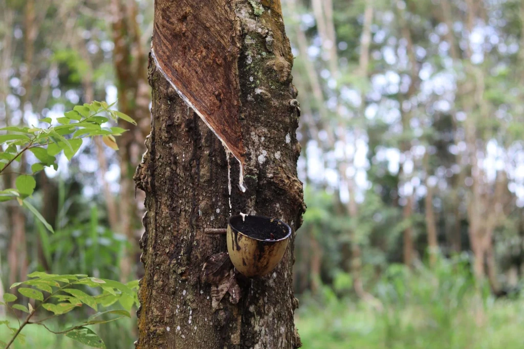 The Tap, from Rubber Stretches Everything