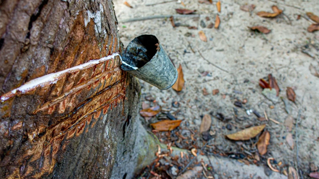Metal and Tree, from Rubber Stretches Everything