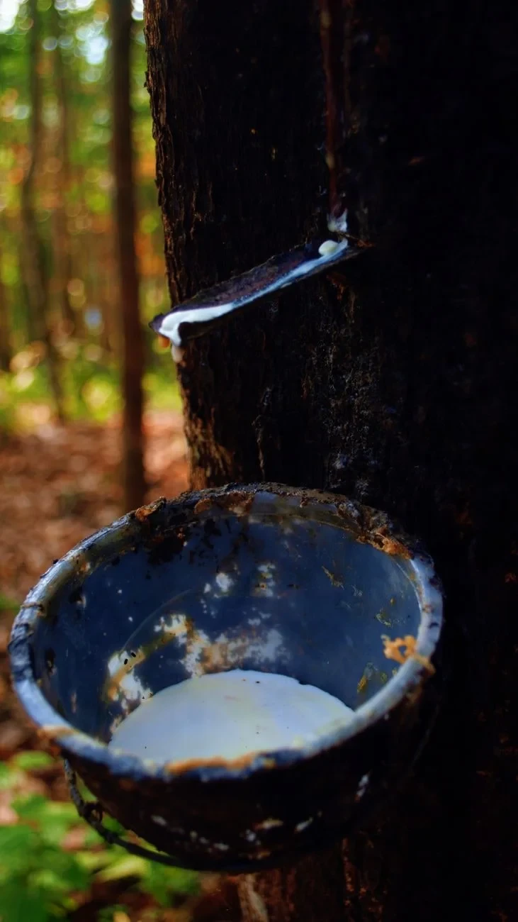 The Tap, from Rubber Stretches Everything