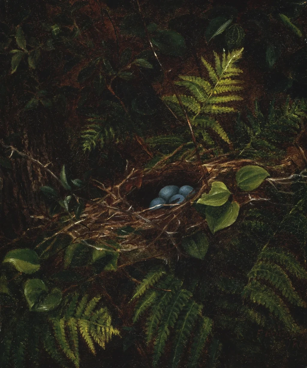 Bird's Nest and Ferns, from Still Life