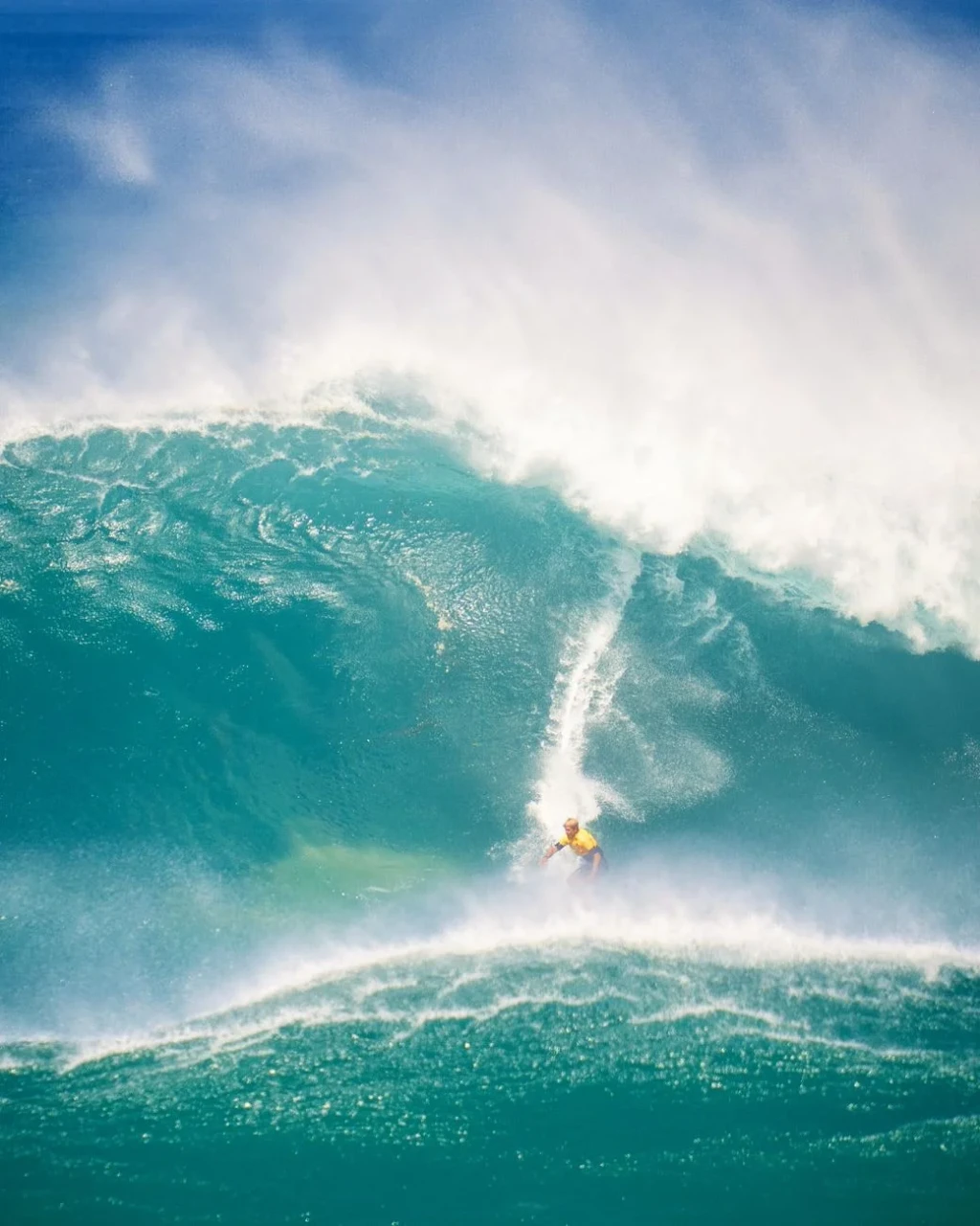 Expertise in Motion, from Surfing: A History of Standing on Water