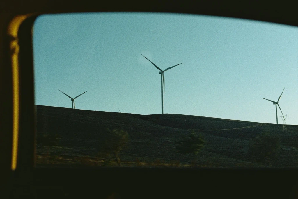 Against the Sky, from Sustainability: Living Within the Planet's Means
