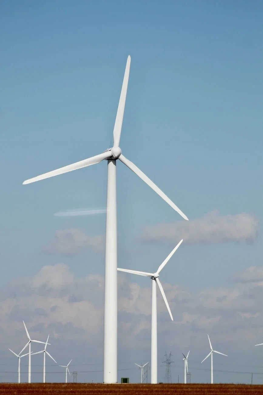 Open Field, from Sustainability: Living Within the Planet's Means