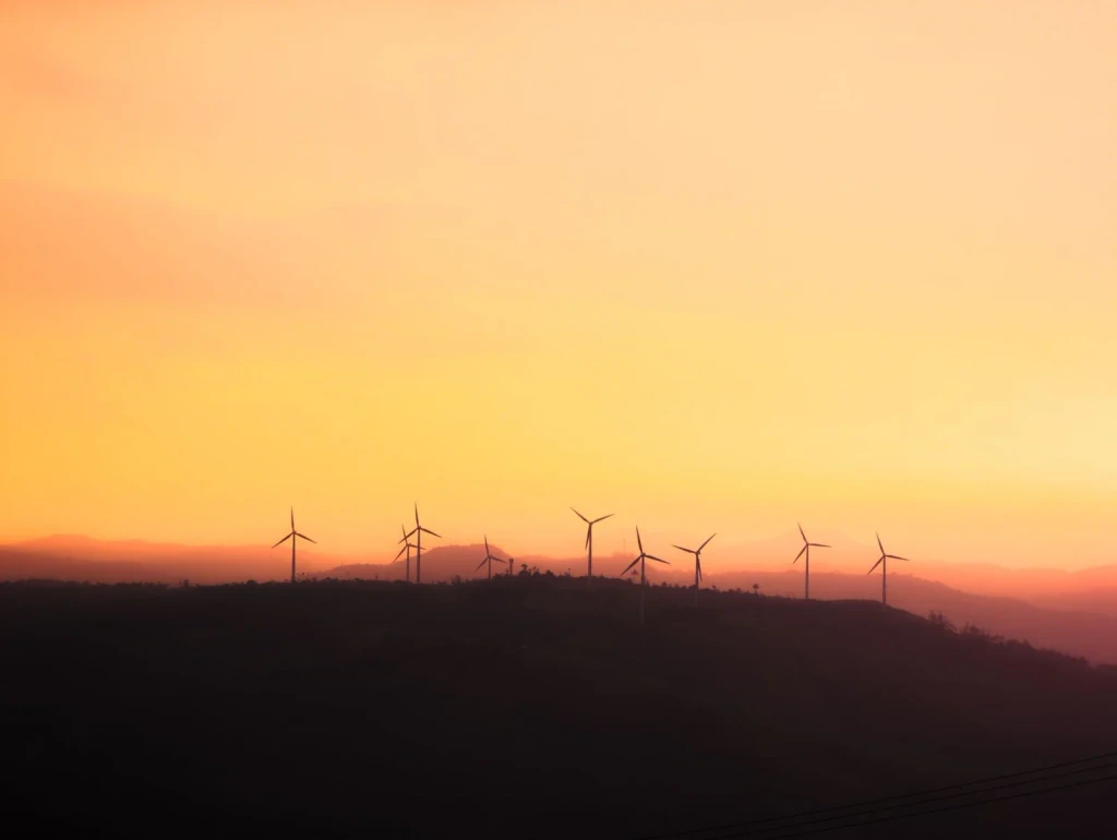 Silhouette at Dusk, from Sustainability
