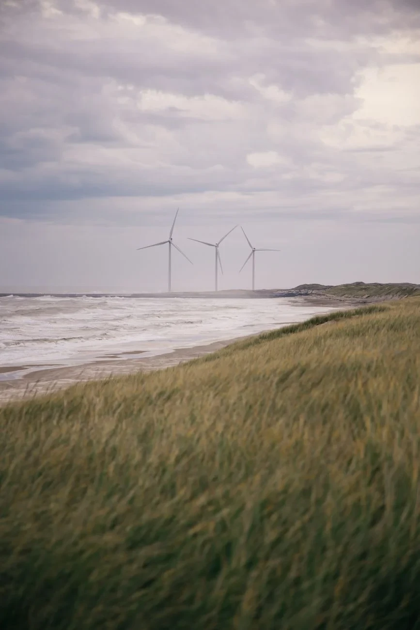 Coastal Energy, from Sustainability