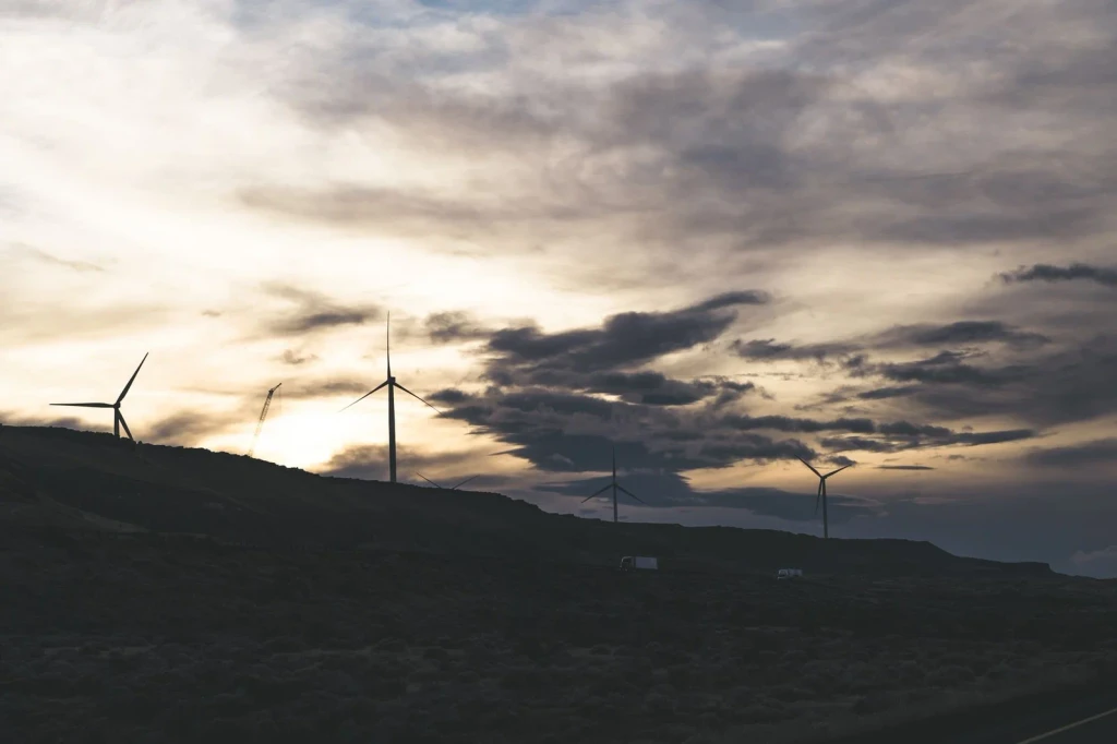 Dramatic Silhouettes, from Sustainability