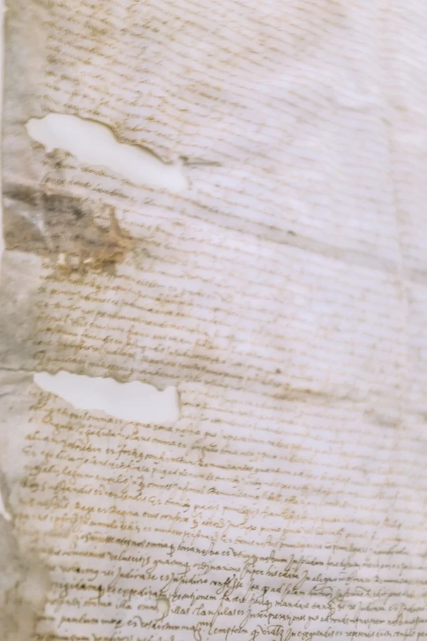 Manuscript Fragment, from The Afterlife of Parchment