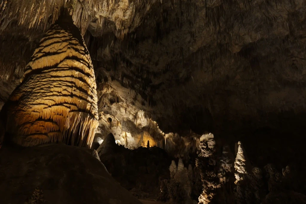 Carlsbad Caverns, from The Architecture Caves Made Alone