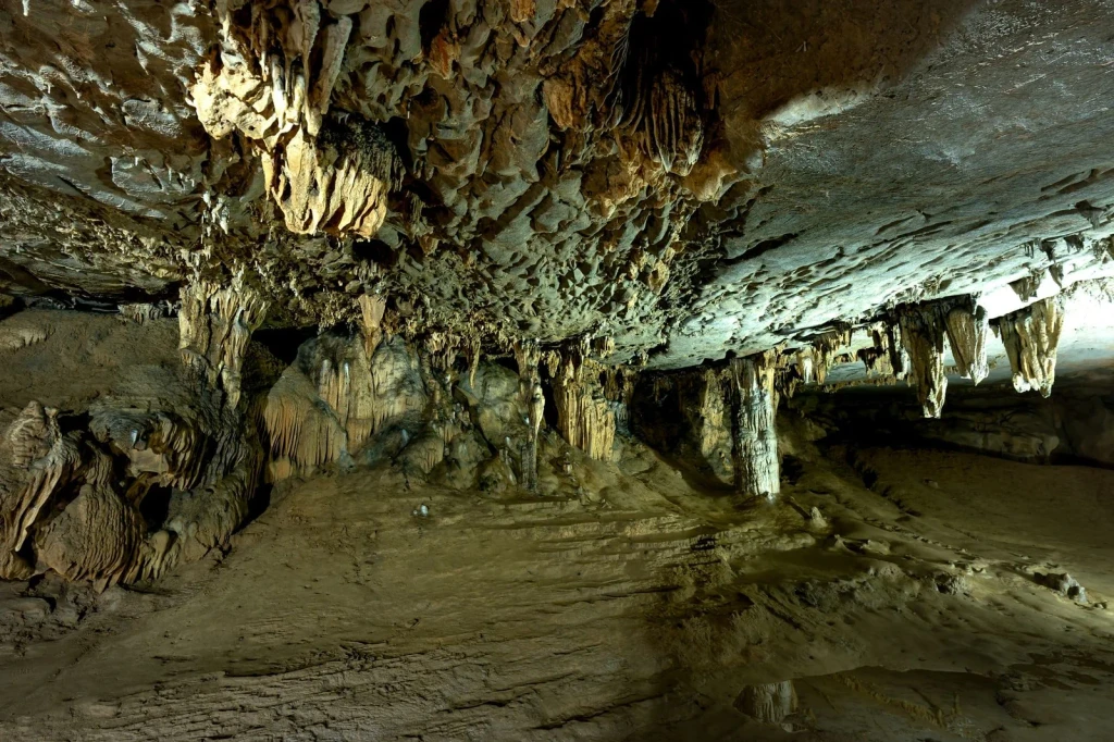 Interior Complexity, from The Architecture Caves Made Alone