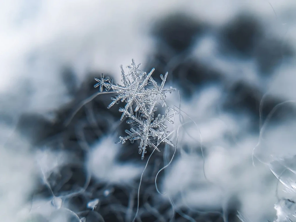Crystal Structures, from The Architecture of Snow