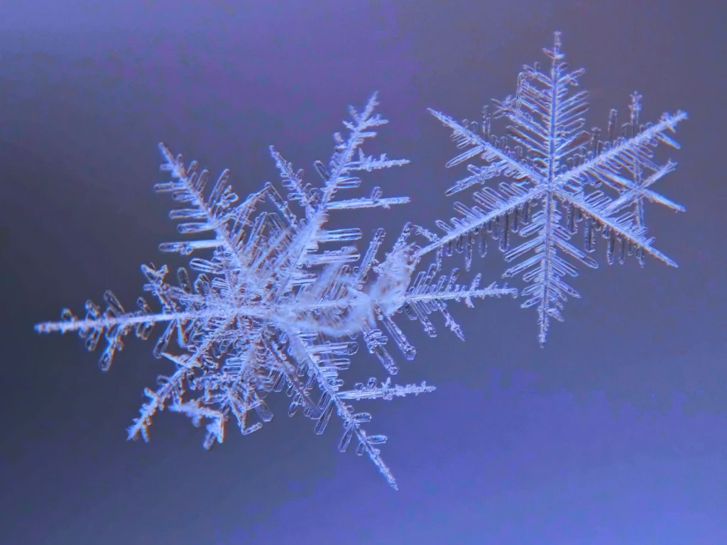 Geometric Symmetry, from The Architecture of Snow