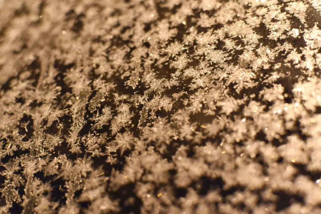 Surface Patterns, from The Architecture of Snow