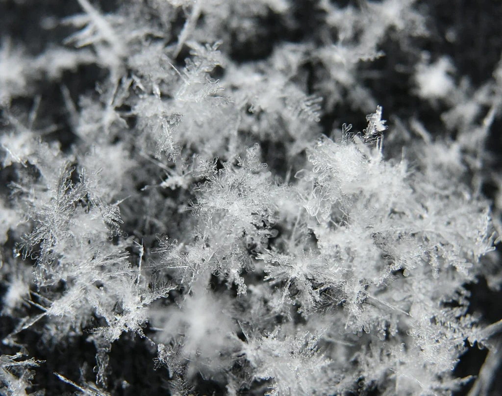 Texture and Form, from The Architecture of Snow