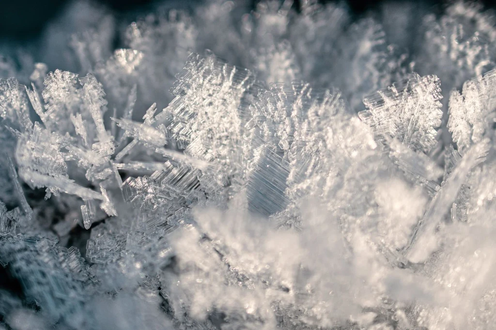 Frost Patterns, from The Architecture of Snow