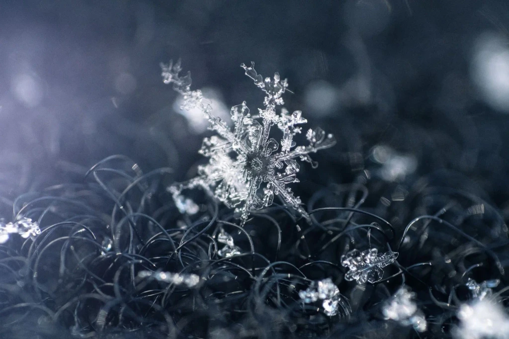 Singular Study, from The Architecture of Snow