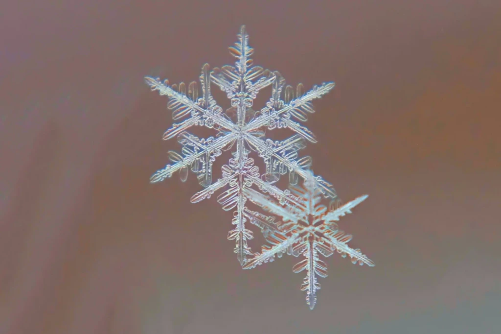Winter's Design, from The Architecture of Snow