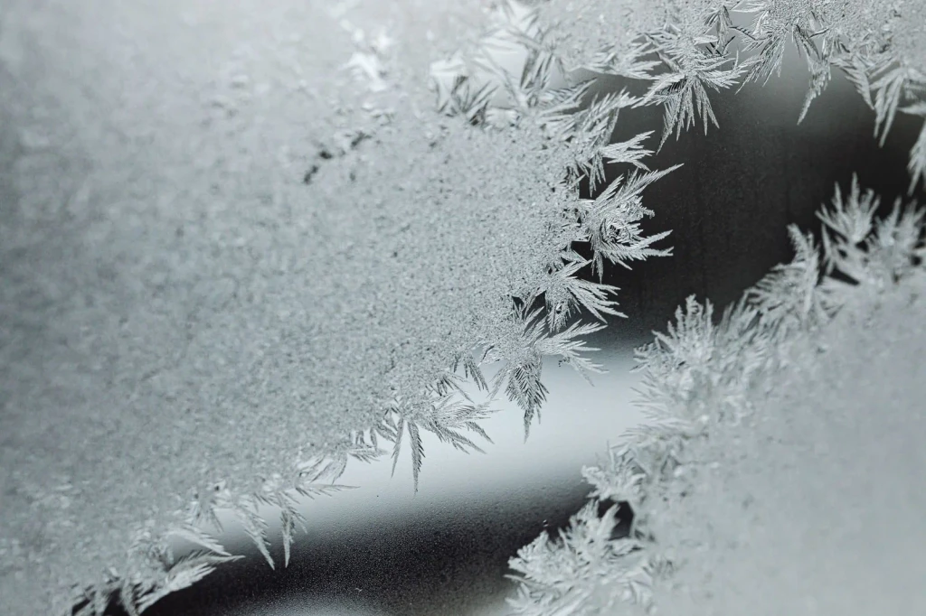 Frosted Surface Study, from The Architecture of Snow