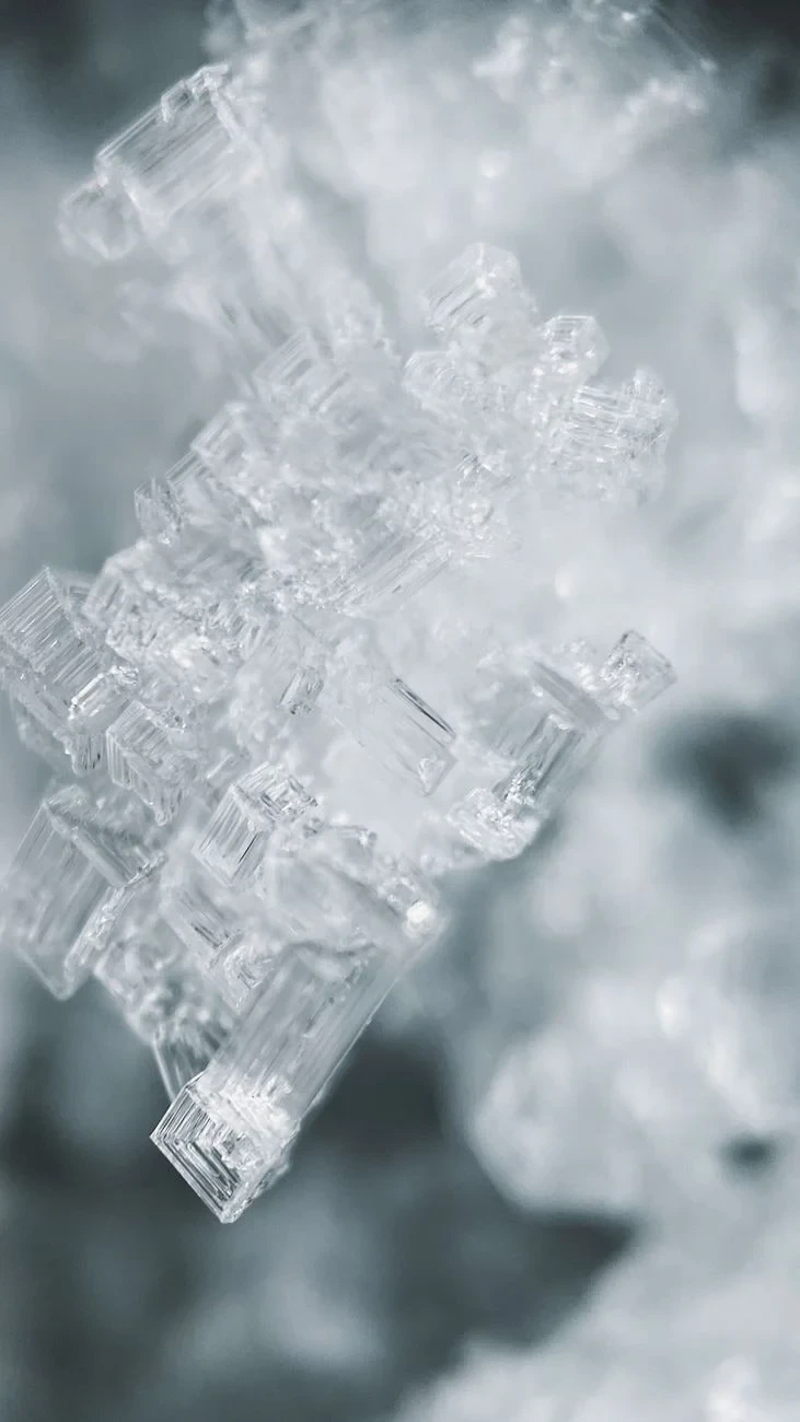 Geometric Winter, from The Architecture of Snow