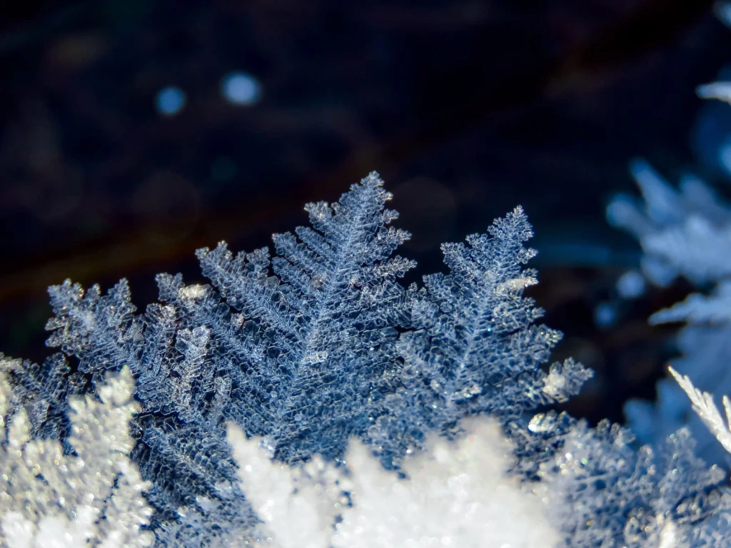 Natural Architecture, from The Architecture of Snow