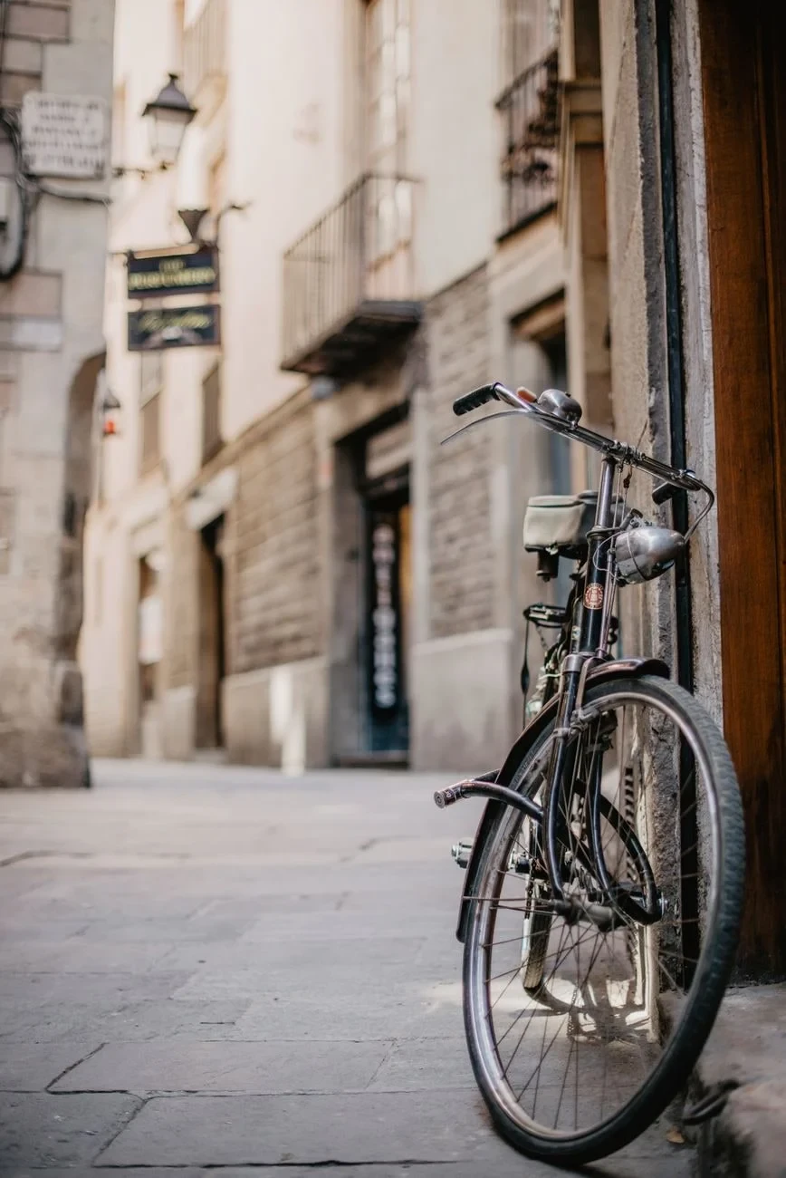 Cobblestone Alley, from The Bicycle Asked Nothing of Anyone