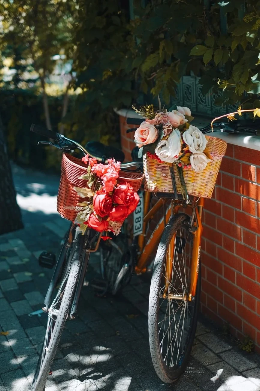 Flower Baskets, from The Bicycle Asked Nothing of Anyone