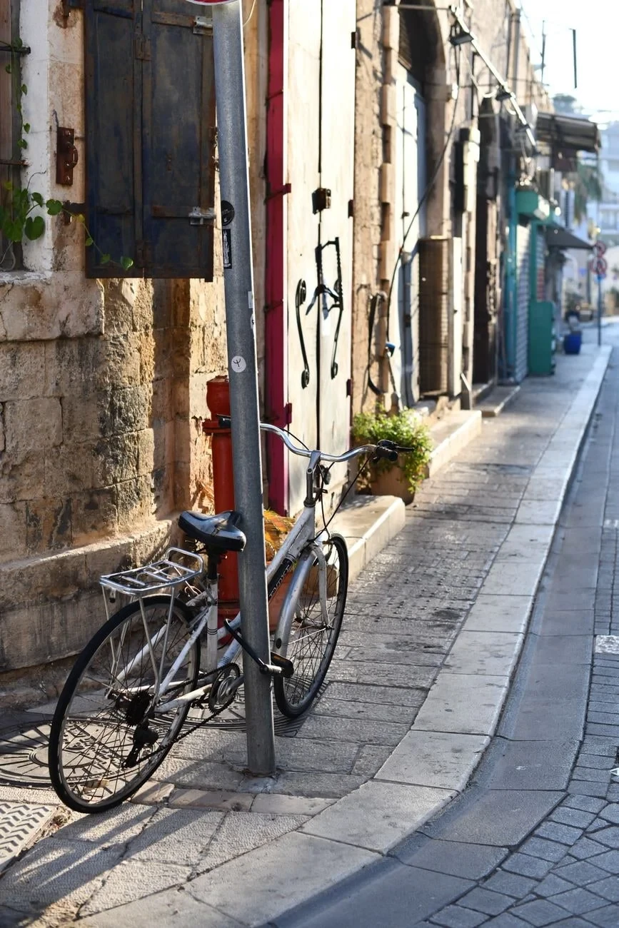 Solitary Bicycle, from The Bicycle Asked Nothing of Anyone