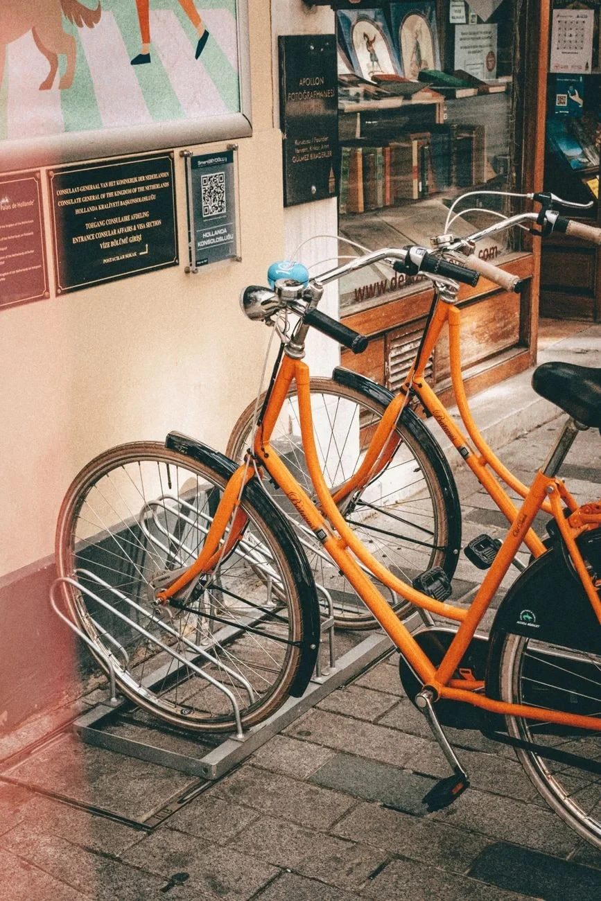 Two Orange Bicycles, from The Bicycle Asked Nothing of Anyone