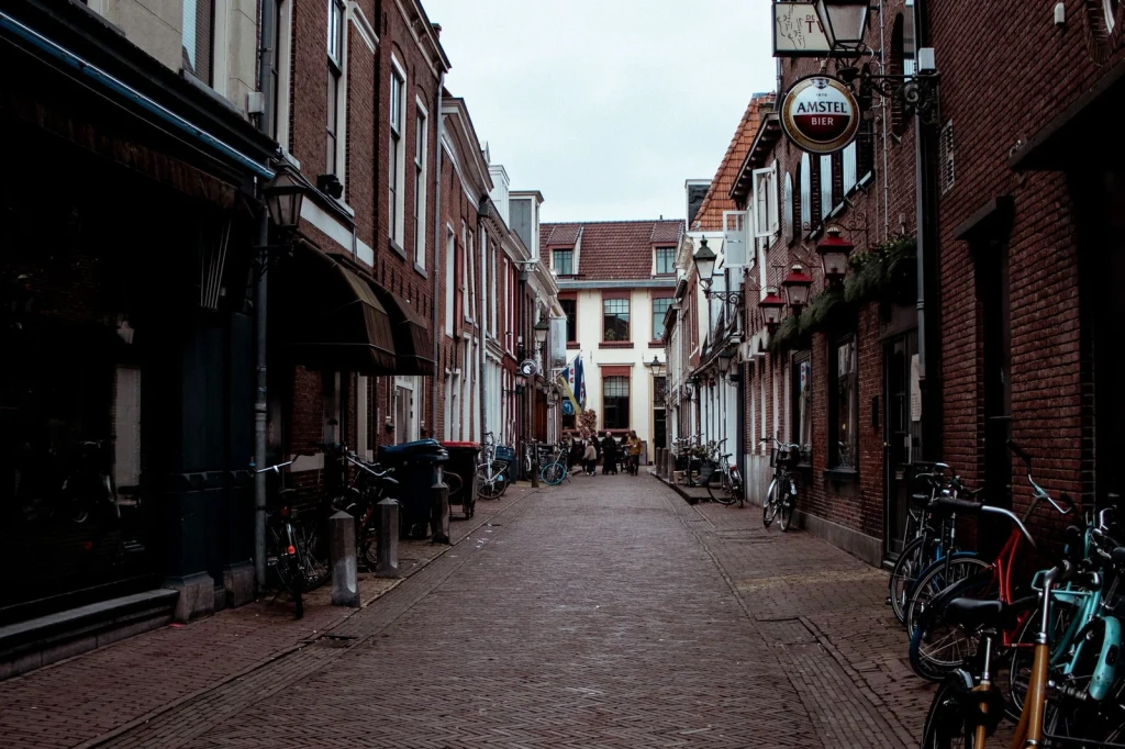 Street in Leeuwarden, from The Bicycle Asked Nothing of Anyone