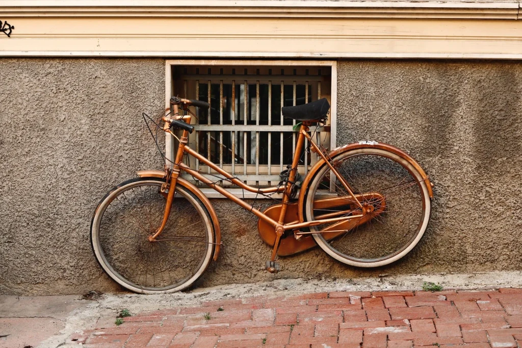 Rusty and Patient, from The Bicycle Asked Nothing of Anyone