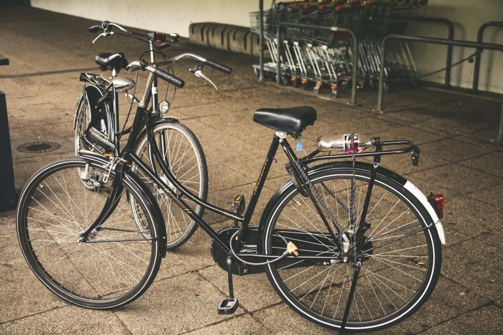 City Street Pair, from The Bicycle Asked Nothing of Anyone