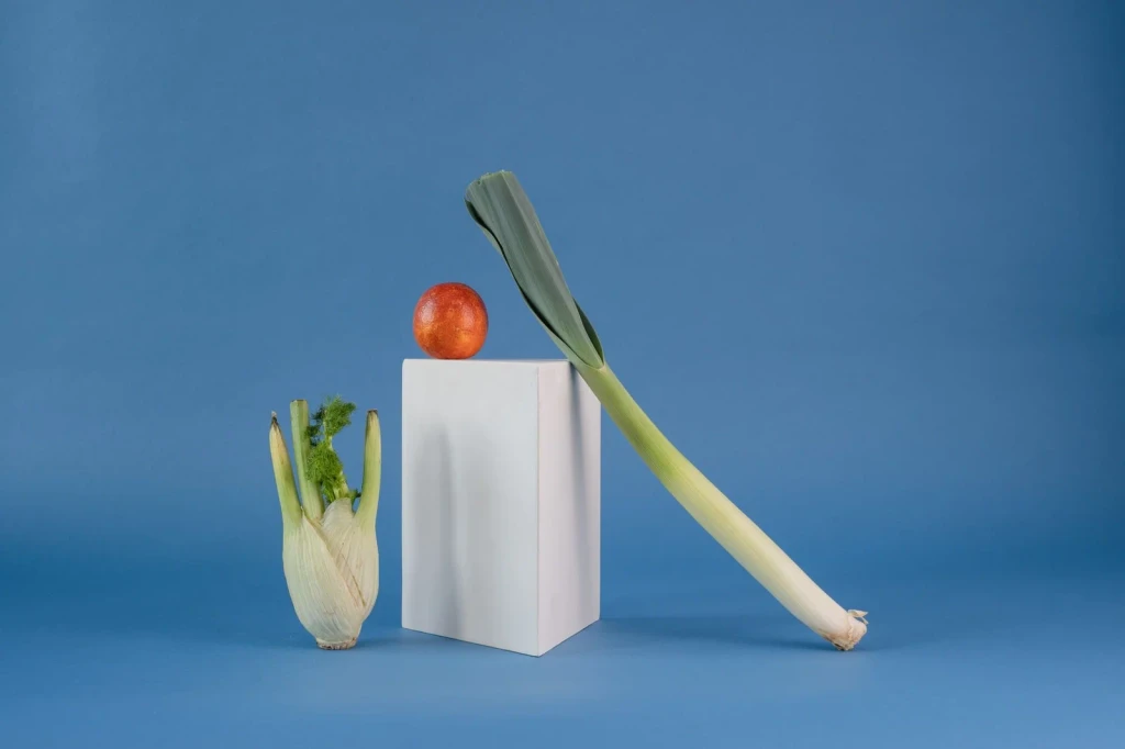 Geometric Still Life, from Why People Choose Plants