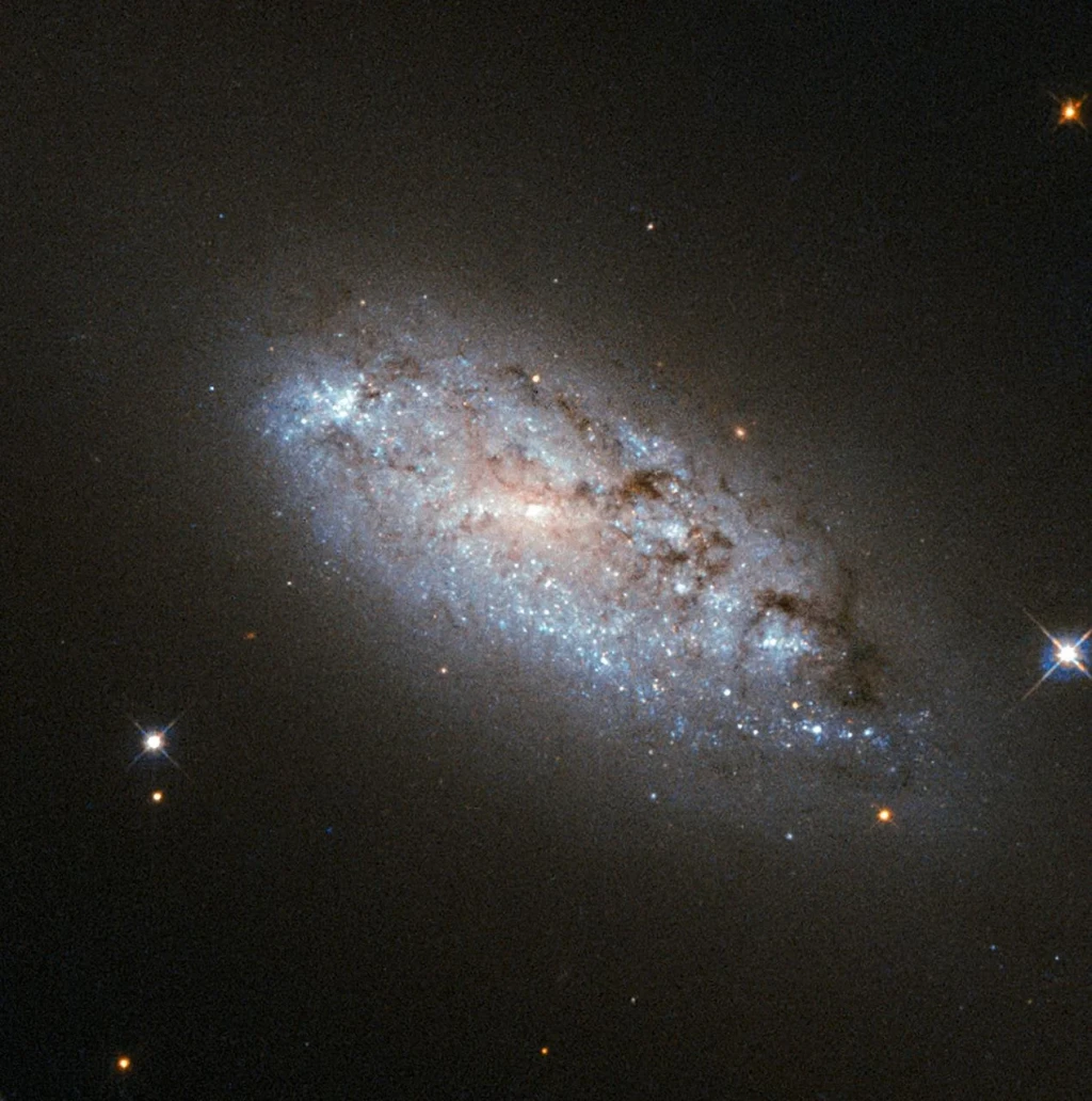 A Hubble Study of the Peculiar Asymmetry of NGC 949, from The Cosmos: Where Stars Are Born