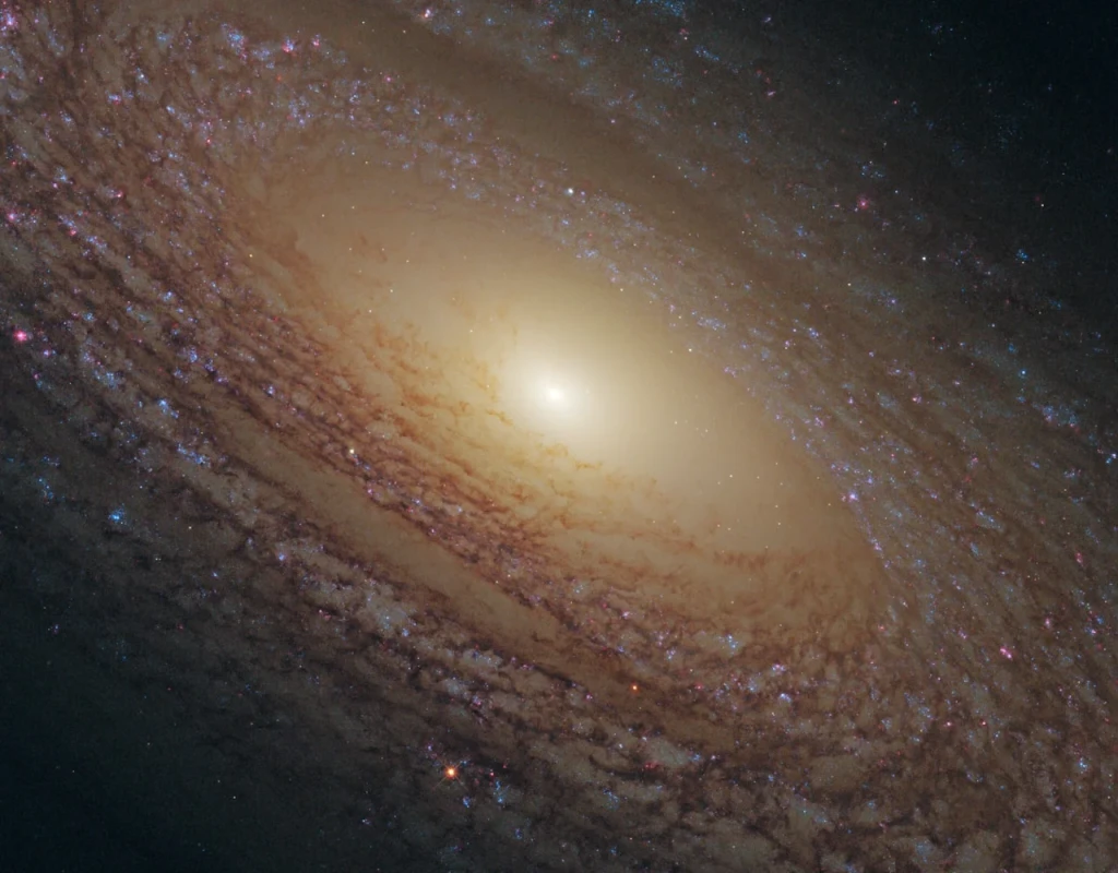 NASA's Hubble Sees A Majestic Disk of Stars, from The Cosmos