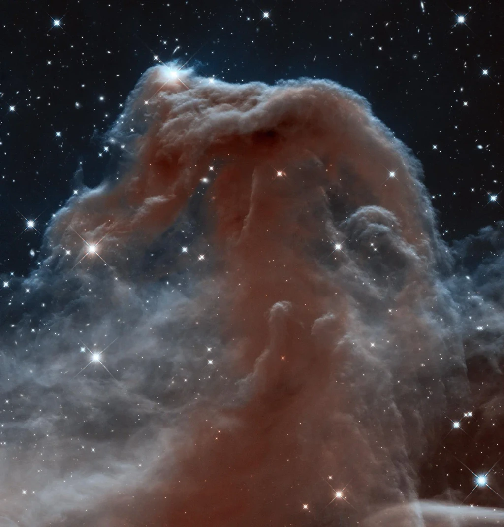 Horsehead Nebula, from The Cosmos