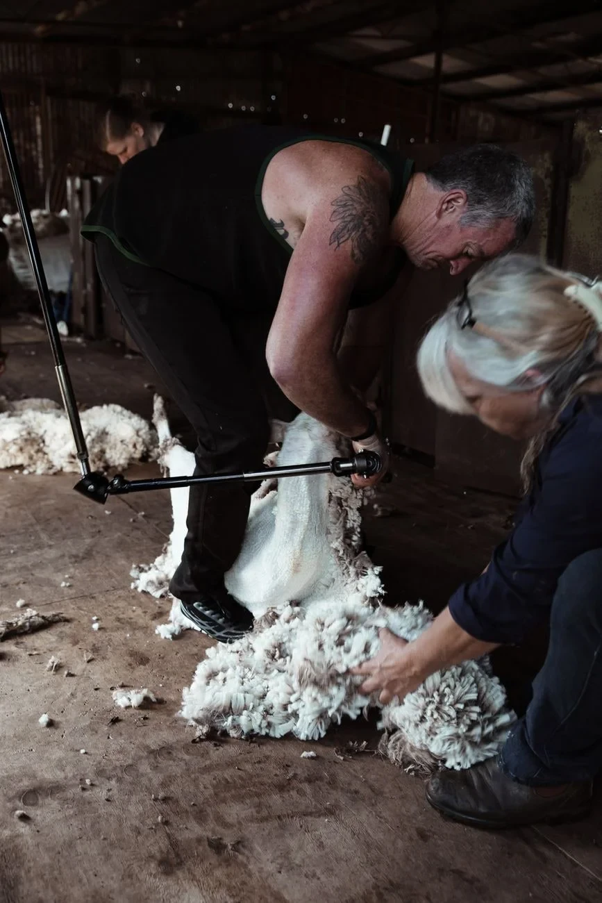Concentrated Labor, from The Economy That Grew from Wool