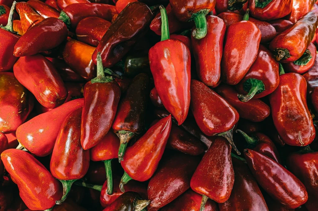 Abundance, from The Fruit That Fights Back