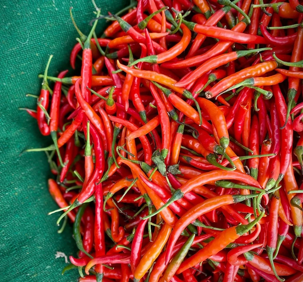 Pile, from The Fruit That Fights Back