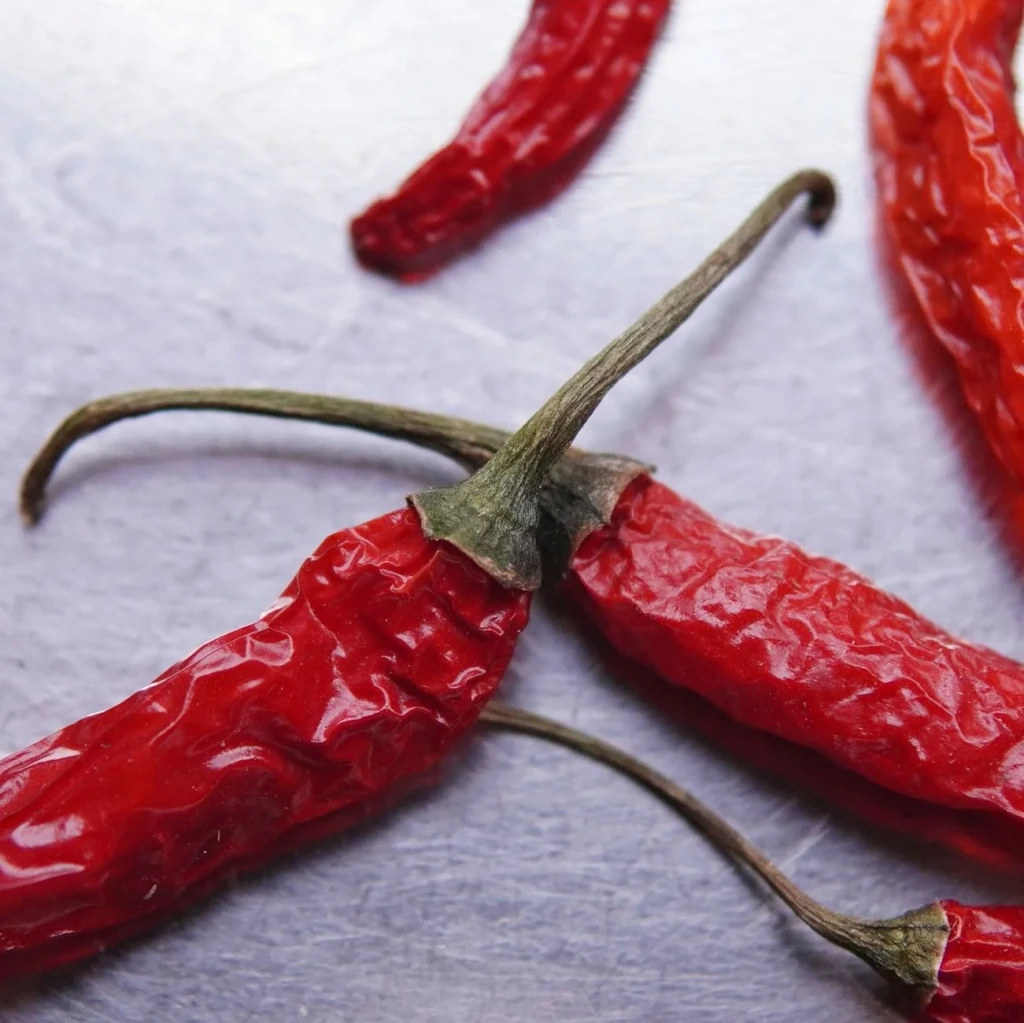 Dried Form, from The Fruit That Fights Back